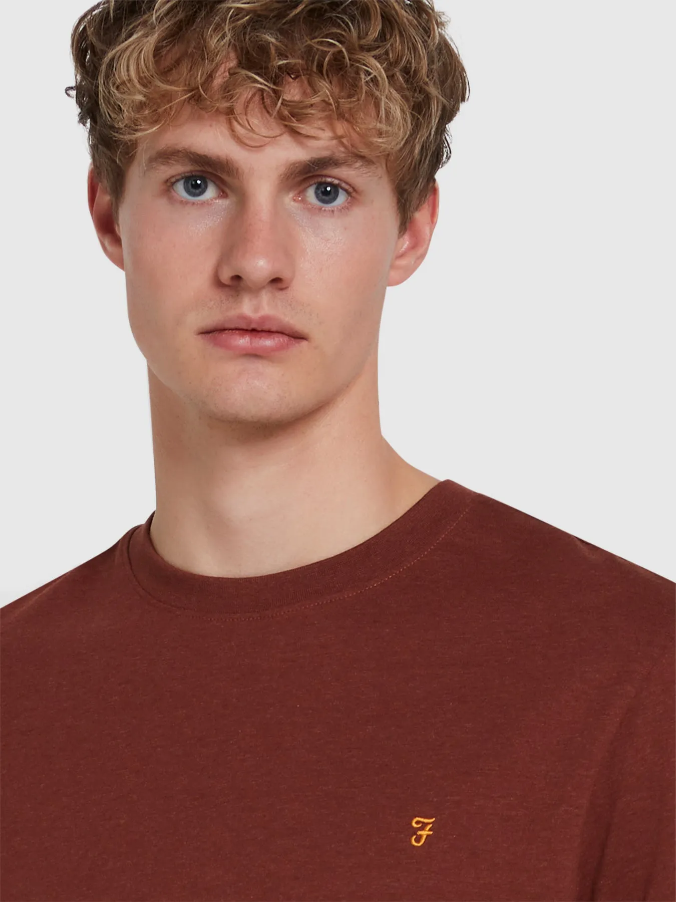 Danny Regular Fit Organic Cotton T-Shirt In Dark Teak Marl