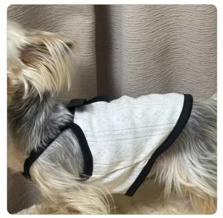 Dog camisole