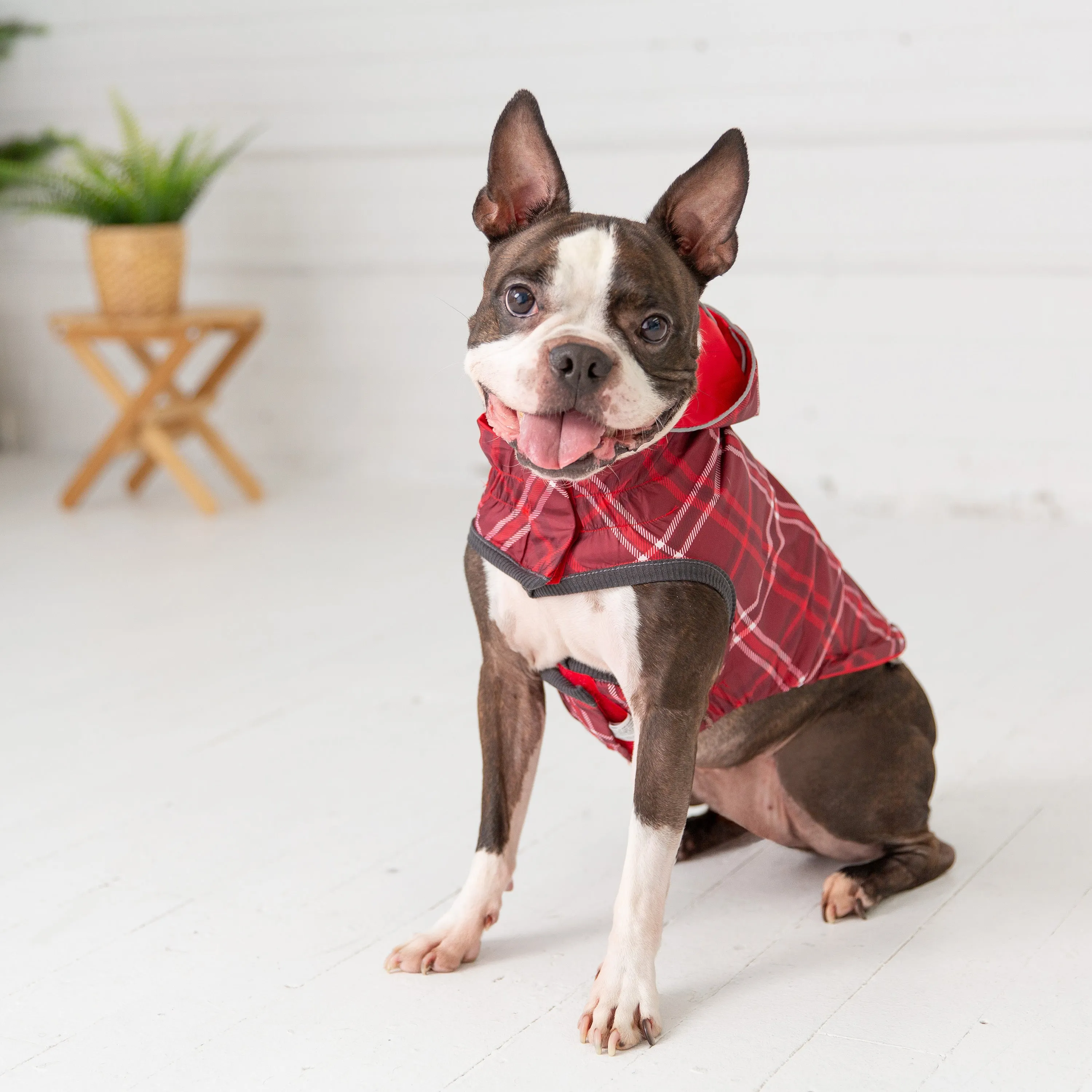 reversible raincoat - red/plaid