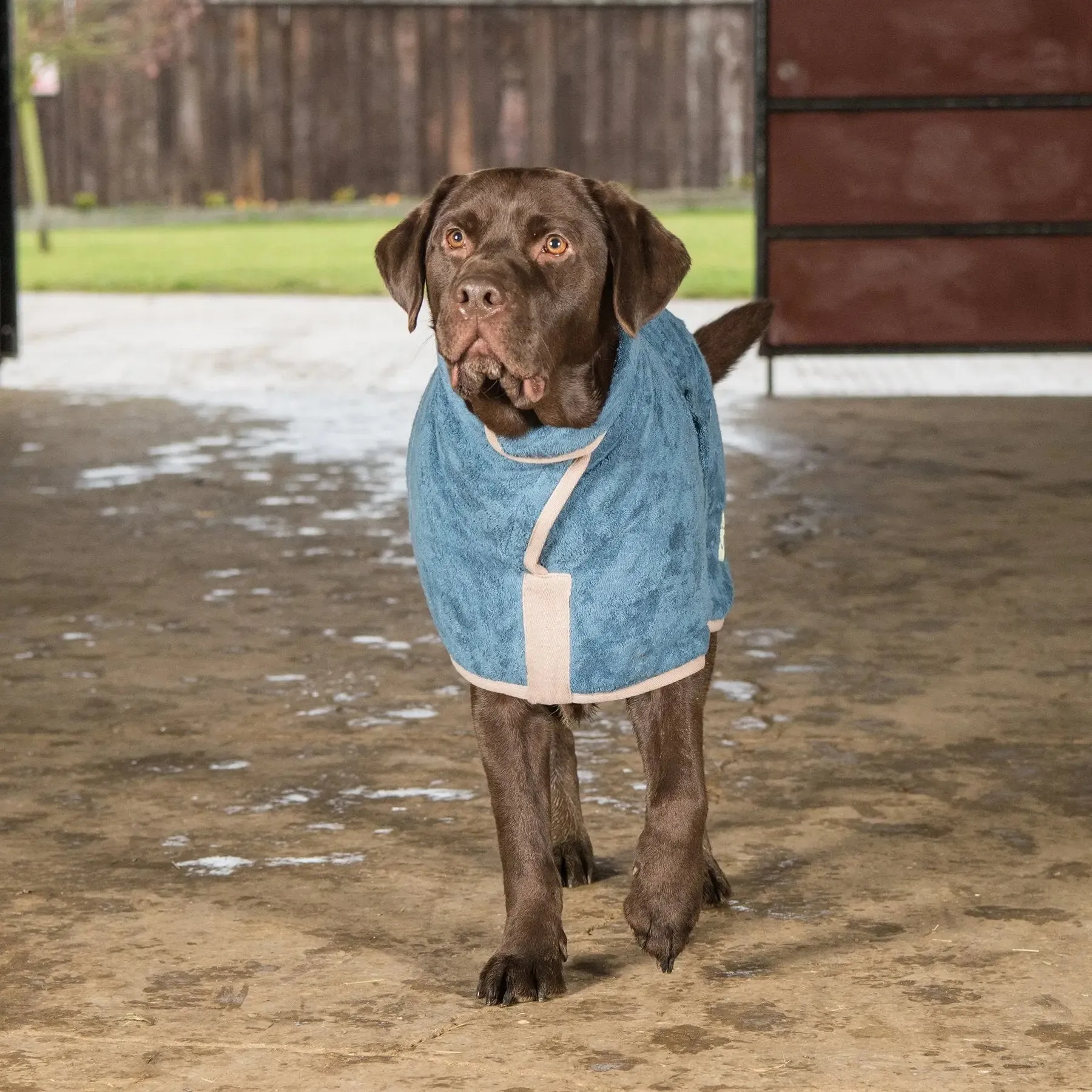 Ruff & Tumble Dog Drying Coat - Classic Collection - BLACK FRIDAY  SPECIAL OFFER - UPTO 22% OFF