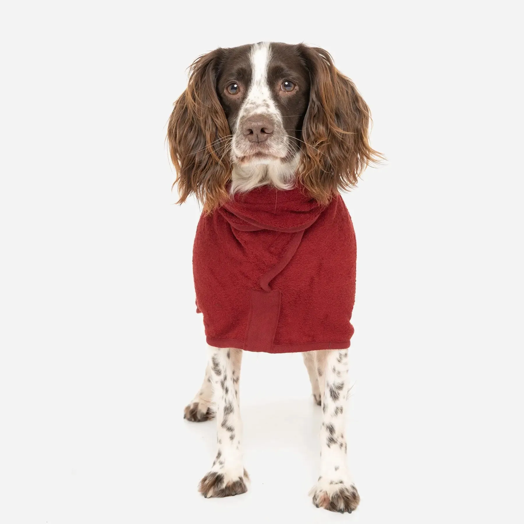 Ruff & Tumble Dog Drying Coat - Classic Collection - BLACK FRIDAY  SPECIAL OFFER - UPTO 22% OFF