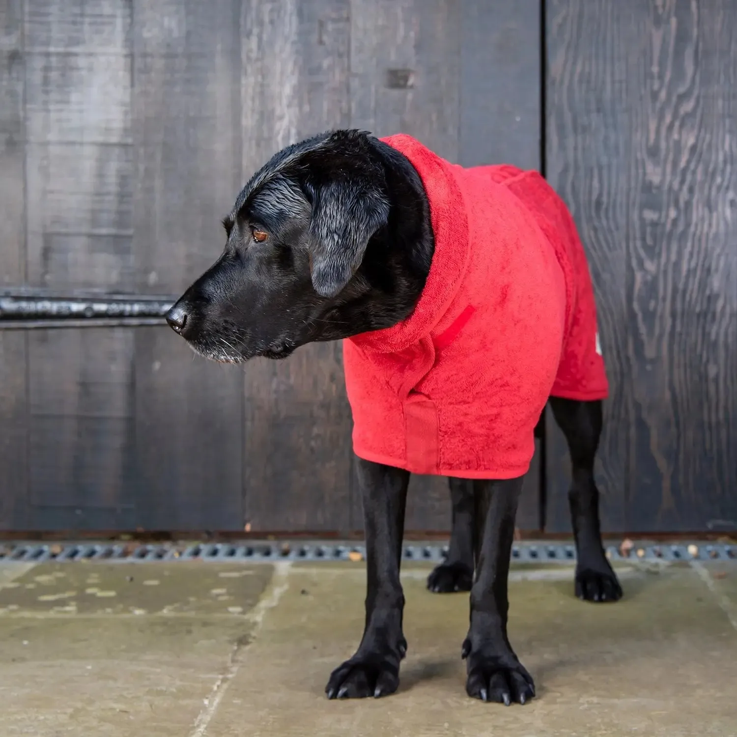 Ruff & Tumble Dog Drying Coat - Classic Collection - BLACK FRIDAY  SPECIAL OFFER - UPTO 22% OFF