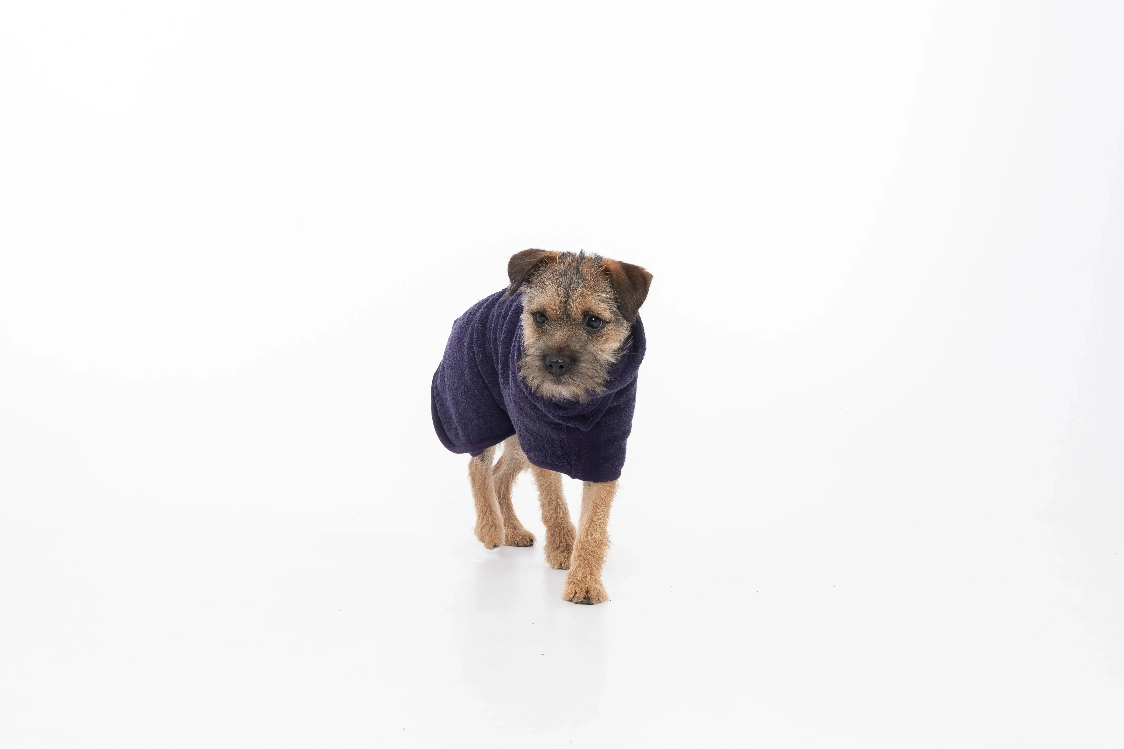 Ruff & Tumble Dog Drying Coat - Classic Collection - BLACK FRIDAY  SPECIAL OFFER - UPTO 22% OFF