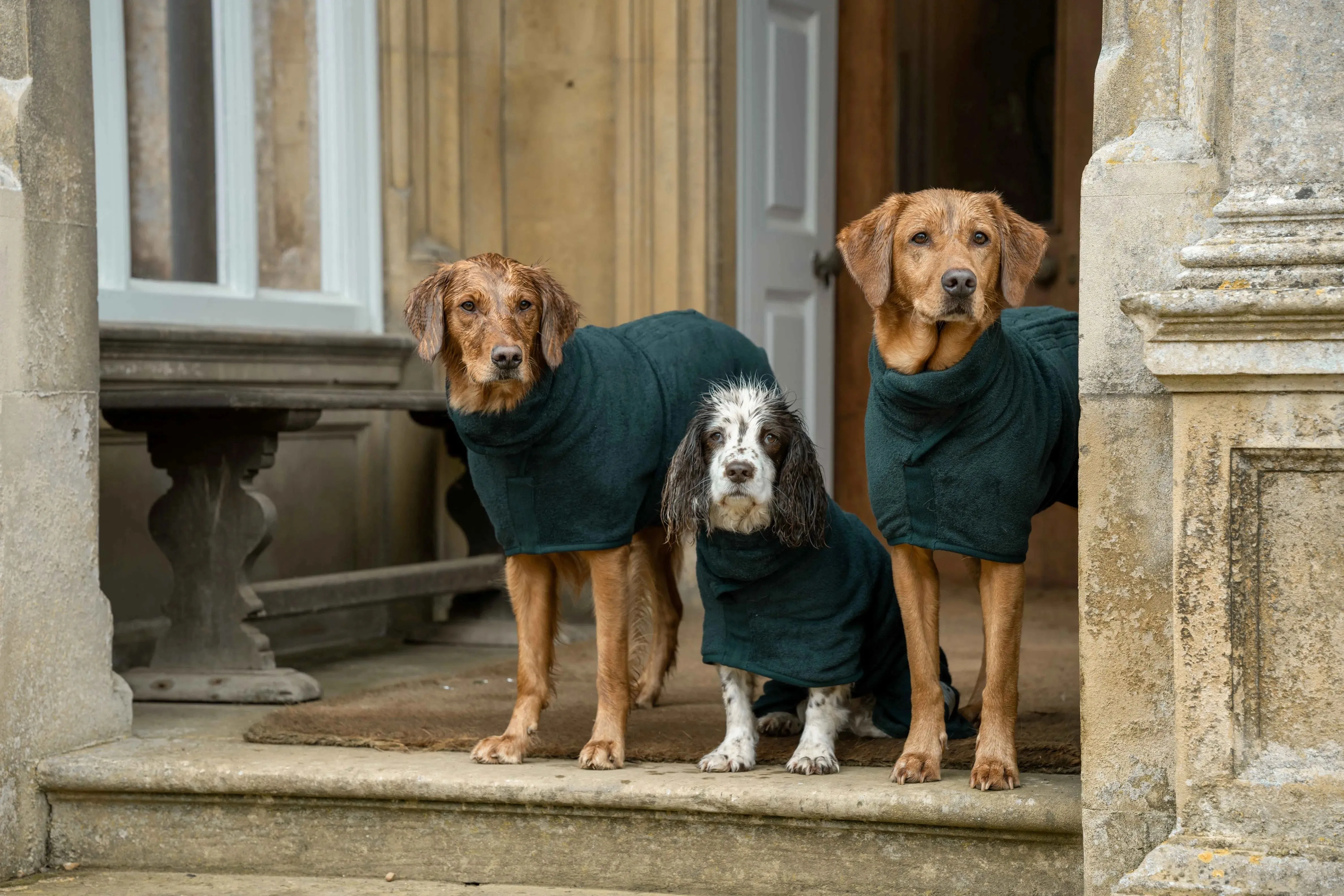 Ruff & Tumble Dog Drying Coat - Classic Collection - BLACK FRIDAY  SPECIAL OFFER - UPTO 22% OFF