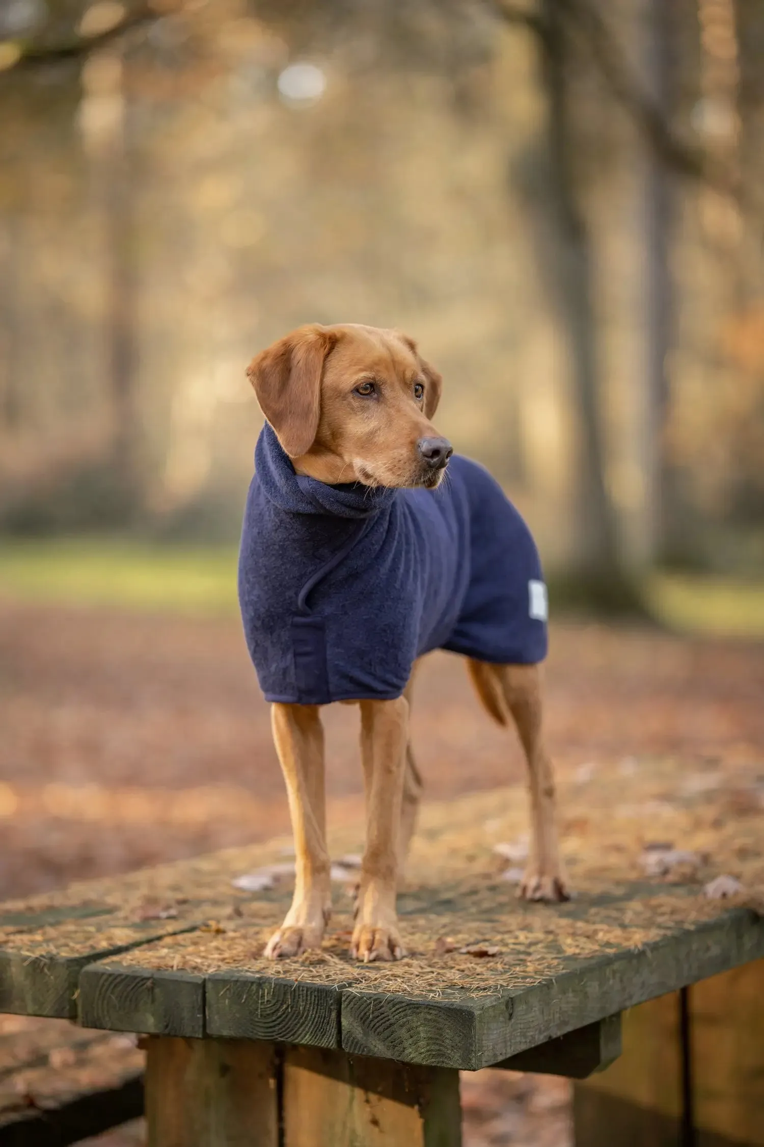 Ruff & Tumble Dog Drying Coat - Classic Collection - BLACK FRIDAY  SPECIAL OFFER - UPTO 22% OFF