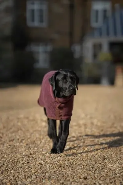 Ruff & Tumble Dog Drying Coat - Country Collection - BLACK FRIDAY  SPECIAL OFFER - UPTO 20% OFF