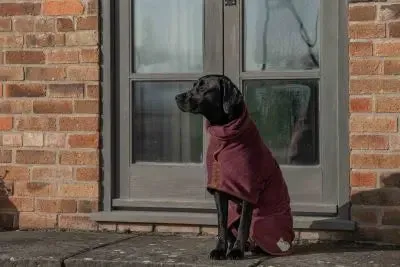 Ruff & Tumble Dog Drying Coat - Country Collection - BLACK FRIDAY  SPECIAL OFFER - UPTO 20% OFF